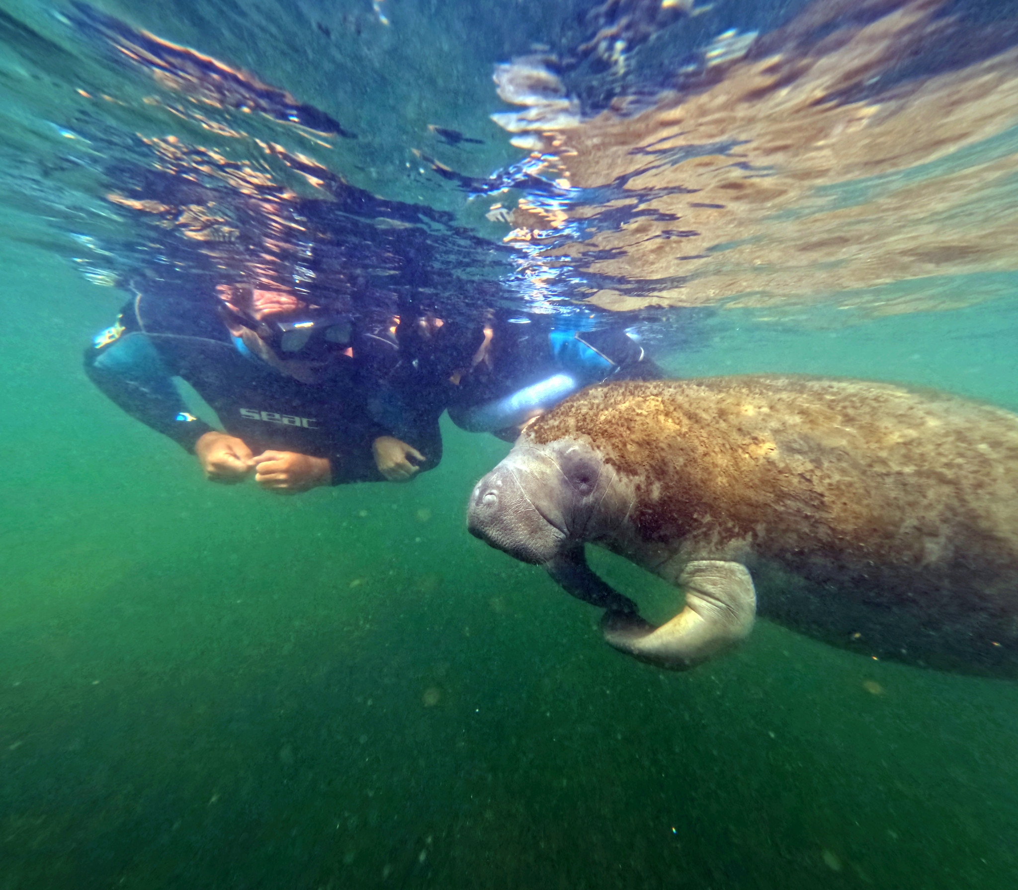 A Voyage of Pure Indulgence: Sailing the Bahamas & Key West Aboard ILMA Ritz-Carlton Yacht Collection